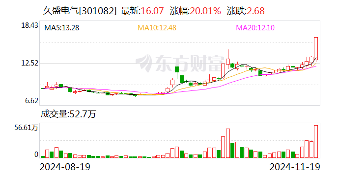 久盛电气:股票交易异常波动