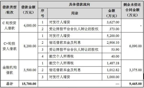 胜科纳米IPO:实控人举债增持公司股份,二十年押上全部身家,办出“芯片全科医院”
