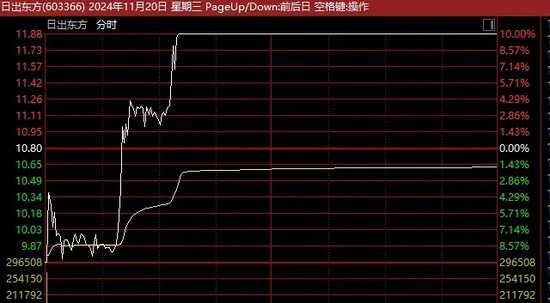 13天11板、12连板牛股,最新发声!
