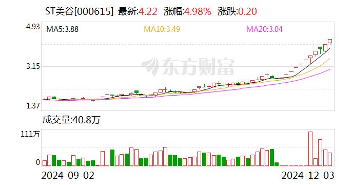 ST美谷:法院决定对公司启动预重整