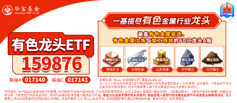 有色蓄势高飞!有色龙头ETF(159876)盘中逆市涨超3%!铜、金、铝携手上攻,北方铜业涨停封板