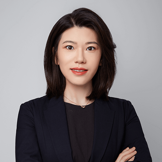 宏利基金权益团队2025年度投资展望:乘势而上 逐利而航