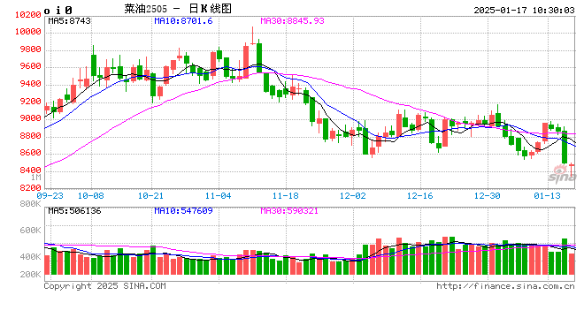 期市开盘：集运指数涨近3% 菜油跌超3%