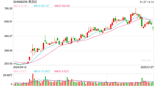 科技权重股持续下挫 寒武纪跌近10%