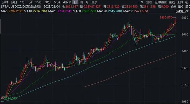 又创新高!“金价远远超出预算”,还会越等越贵?