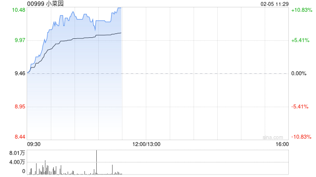 小菜园早盘涨超9% 机构预测公司有望进入港股通