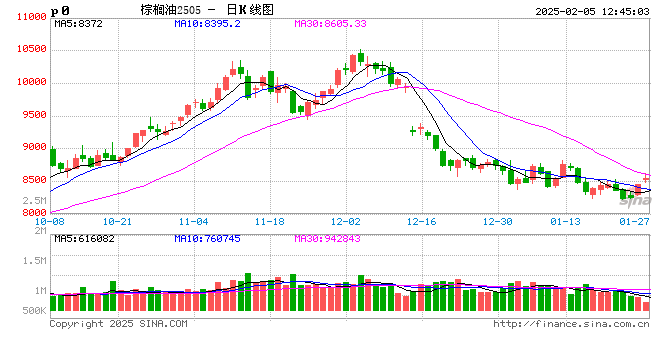 棕榈油:节后需求提振,价格或偏强震荡