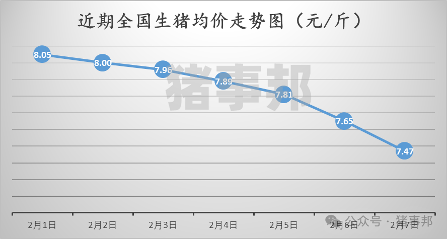 2月7日猪价汇总(跌势扩大,创近9个月新低!)
