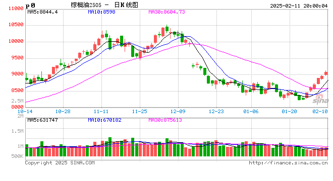 油脂:品种间分化