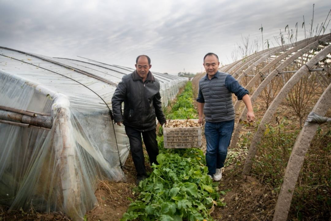 马云最新发声!下一个十年 让我们继续人人三小时