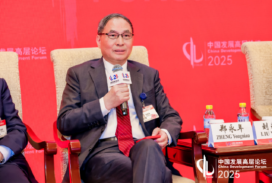 郑永年:对企业扶持要“抓小放大”