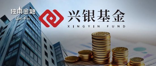 从“千亿神话”到缩水190亿,金融“女将”辞任兴银基金董事长