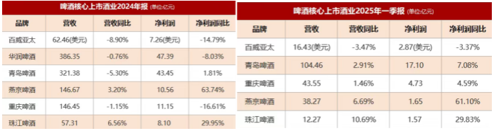 啤酒TOP5 2024：业绩普遍收缩、裁员、高管降薪，2025能否打好“翻身仗”