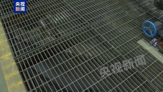 三家官网已变黑白!中金黄金市值蒸发超50亿,6名学生遇难最新细节披露