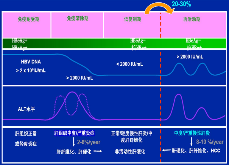 乙肝“特效药”的千亿战局