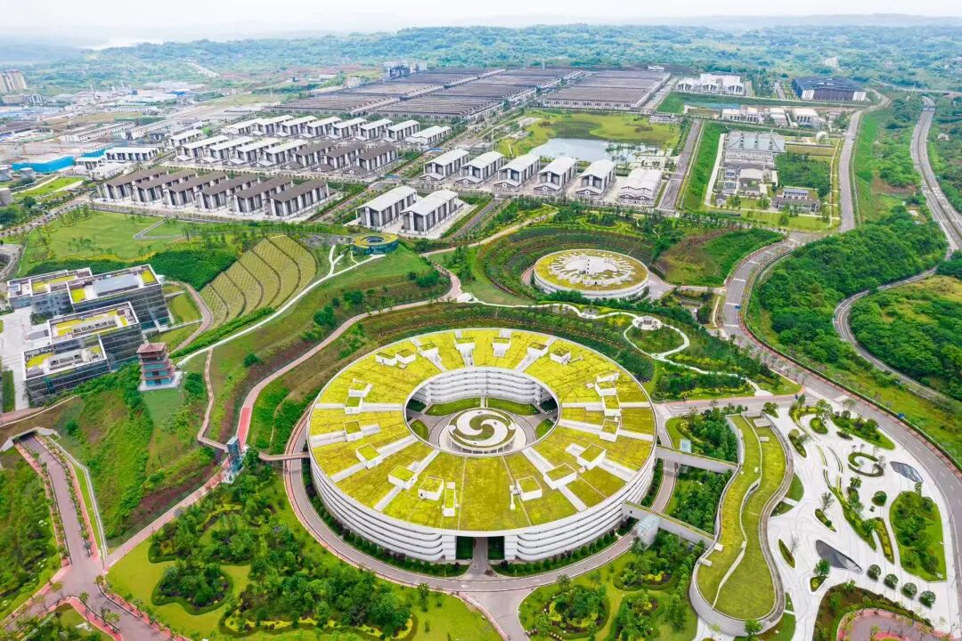 上半年营收164.54亿元!泸州老窖稳健应对周期,高股息与数字化转型成焦点