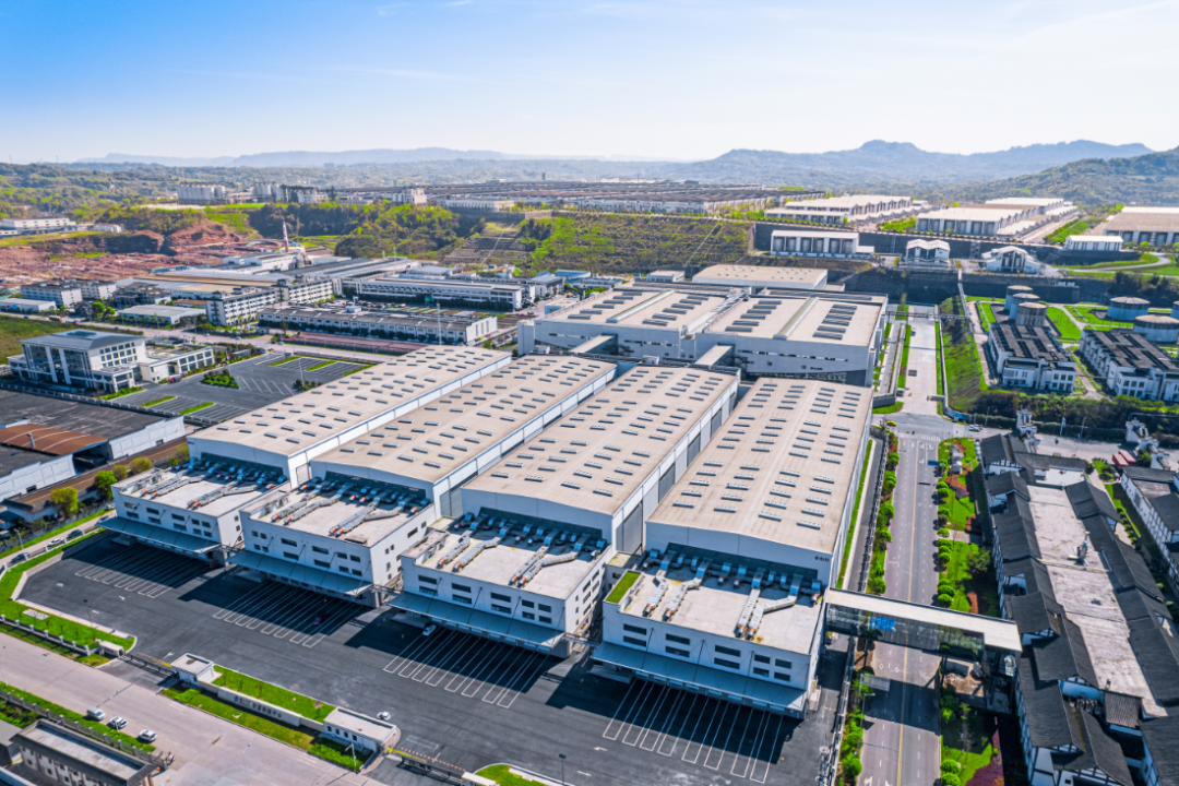 上半年营收164.54亿元!泸州老窖稳健应对周期,高股息与数字化转型成焦点