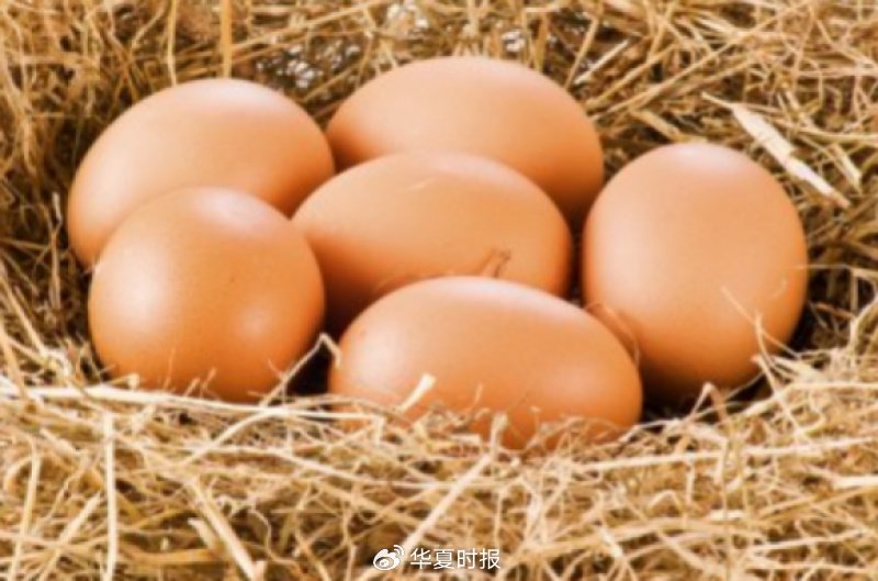 鸡蛋期货重回3000元关口,贸易商抛售冷库蛋,9月消费能否点燃