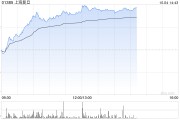 芯片股早盘持续大涨 上海复旦暴涨23%中芯国际大涨22% 芯片股早盘持续大涨 上海复旦暴涨23%中芯国际大涨22%