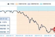 合富永道｜回撤14.52%！民生加银固收总监谢志华管理的鑫享A上演债基恐怖片