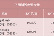 明天,两只新股申购 明天,两只新股申购