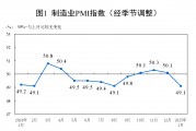 1月份制造业PMI为49.1%,比上月下降1个百分点 1月份制造业PMI为49.1%,比上月下降1个百分点
