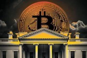 白宫加密货币主管:正在研究美国建立比特币储备的可行性 白宫加密货币主管:正在研究美国建立比特币储备的可行性